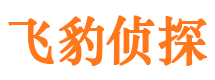 武平出轨调查